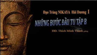 Kinh NIKAYA Giảng Giải - Những Bước Đầu Tu Tập B - ĐĐ. Thích Minh Thành giảng