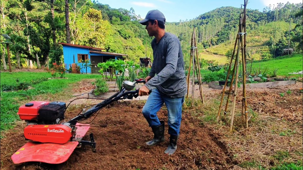ROTINA NO SÍTIO: PAISAGISMO LAGOA DOS PEIXES, PARREIRA DE CHUCHU E PLANTEI CEBOLA DE CABEÇA