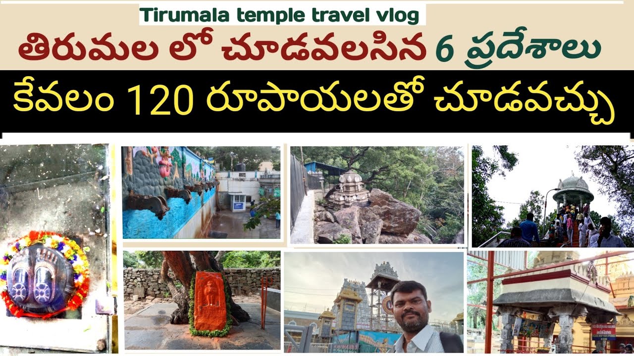 Tirumala 6 places visit in 120 rs   తిరుమలలో చూడవలసిన 6 ప్రదేశాలు