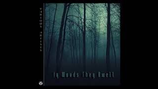 Teemu T - Halo Around Saturn (Vytis Remix) [Electrosphere Records] [Dub, Electronic, Techno]