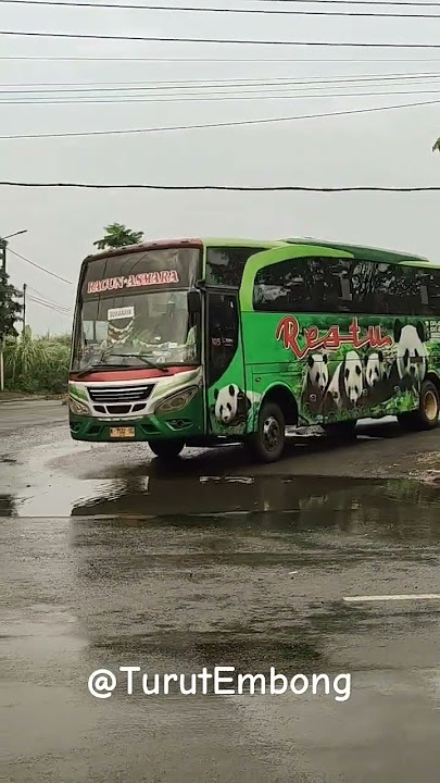 Bus Restu Panda Racun Asmara Surabaya Ponorogo #bismania #busjatim #busmania #restupanda