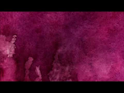 Dylan Sitts - Bryant Bark