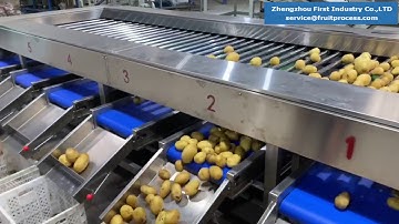 potato washing sorting line