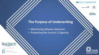 Virtual Insurance School: Underwriting and Claims Basics