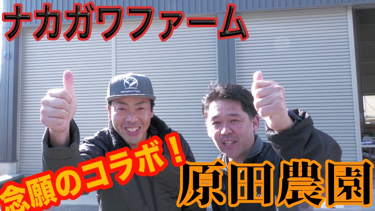 CHCNAVを取り付ける！[実演会前編]