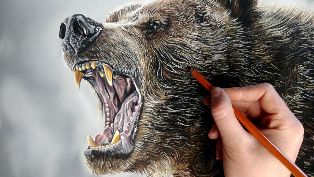 VERY ANGRY Grizzly Bear Drawing! - YouTube