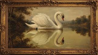 Vintage Framed Painting Art 4K | Swan Reflection in Still Water | Elegant TV Screensaver