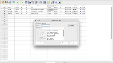 Descripción de variables categóricas SPSS