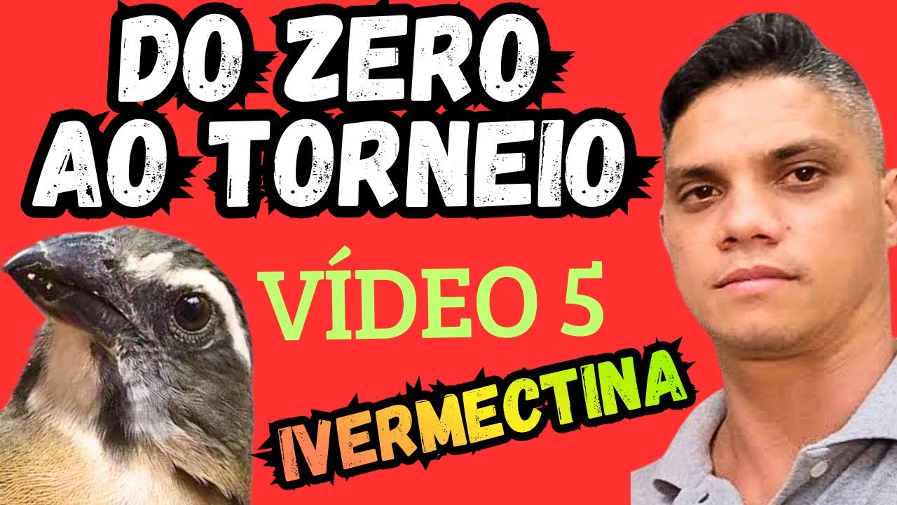 🏆MEXIDA DE TRINCA FERRO (DO ZERO AO TORNEIO VÍDEO 5)