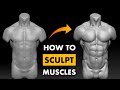 How to sculpt a muscular body
