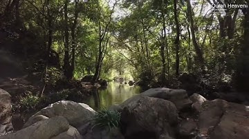 104 - Al Humaza - Soud Al Shraim سورة الهمزة - سعود الشريم