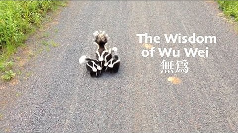 The Wisdom of Wu Wei (Non-action)