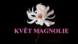 Květ Magnólie (Agatha Christie)