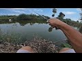MANCING DISINI IKANNYA MELIMPAH
