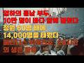 무기를 바다에 버리고 사람을 태웠다｜1950 흥남 철수, 한 척의 배가 14,000명을 살린 크리스마스의 기적
