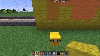 Minecraft - To Sqaishey Quack! - Quacktopia