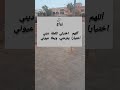 انا والي مشي متزوجين