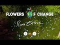 Flowers of change teaser 2018