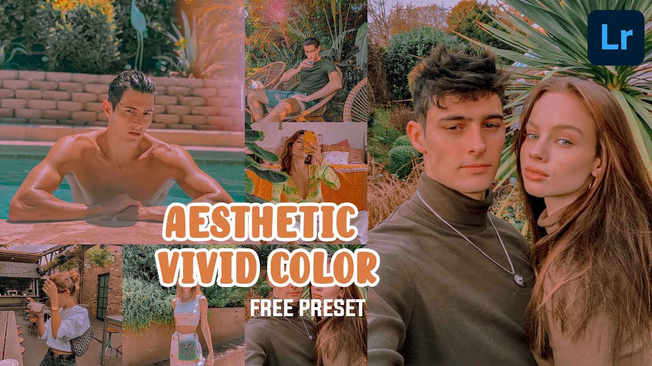 Lightroom Mobile Preset | Aesthetic Vivid Color Preset | Free DNG | Lightroom Mobile Tutorial |