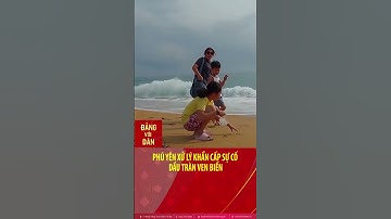 Phú Yên xử lý khẩn cấp sự cố dầu tràn ven biển #shorts