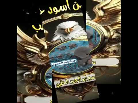 استوريات ابو الجود الحلبي نكول شلونكم بعد غياب حلات وتس اب تصميم 