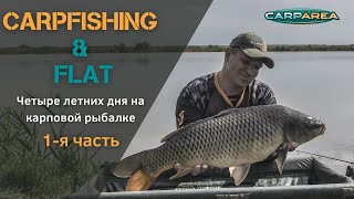 картинка: Carpfishing & Flat. Четыре летних дня на карповой рыбалке. (1-я часть)