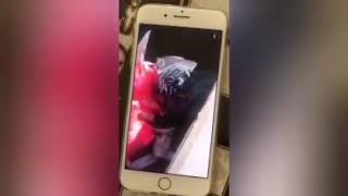 Jasat Bir Suçu Daha Aydınlattı