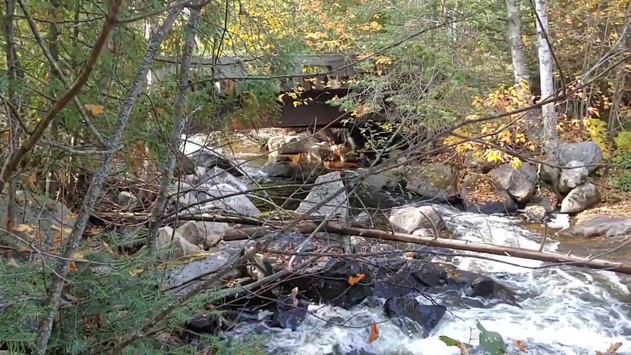Rushing Creek and washed out Bridge
