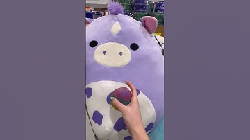 I Found the BIGGEST SQUISHMALLOW on EARTH! 😱 Buying What the Fidget Ball Says! 🛍️
