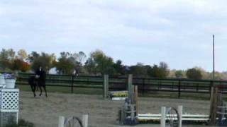 Sporthorse Inc Ihja Show Oct 2009