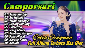 FULL SRAGENAN CAMPURSARI  KOPLO TERBARU 2025 - LANGGAM JAWA CAMPURSARI  COKEK SRAGENAN FULL ALBUM
