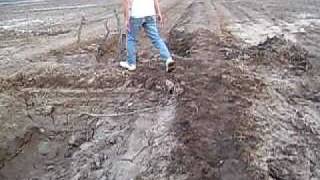 FINCA EL CHAÑAR SANTIAGO DEL ESTERO