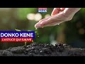 Planter un arbre pour protéger notre environnement