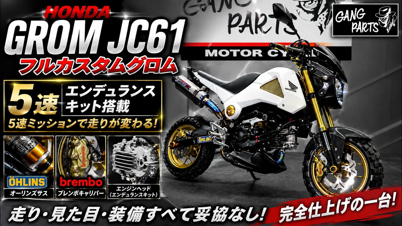 INSANE] Full Custom Grom! 5-Speed! Endurance Kit Installed! Bike 