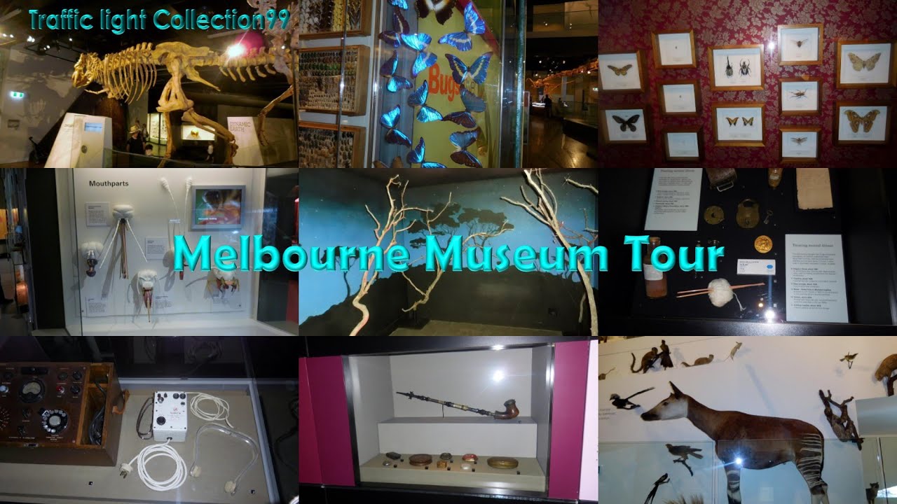 Melbourne Museum Tour