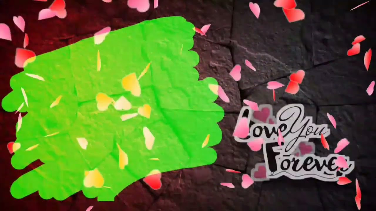 love green screen video||love template effect background||Wedding green screen video