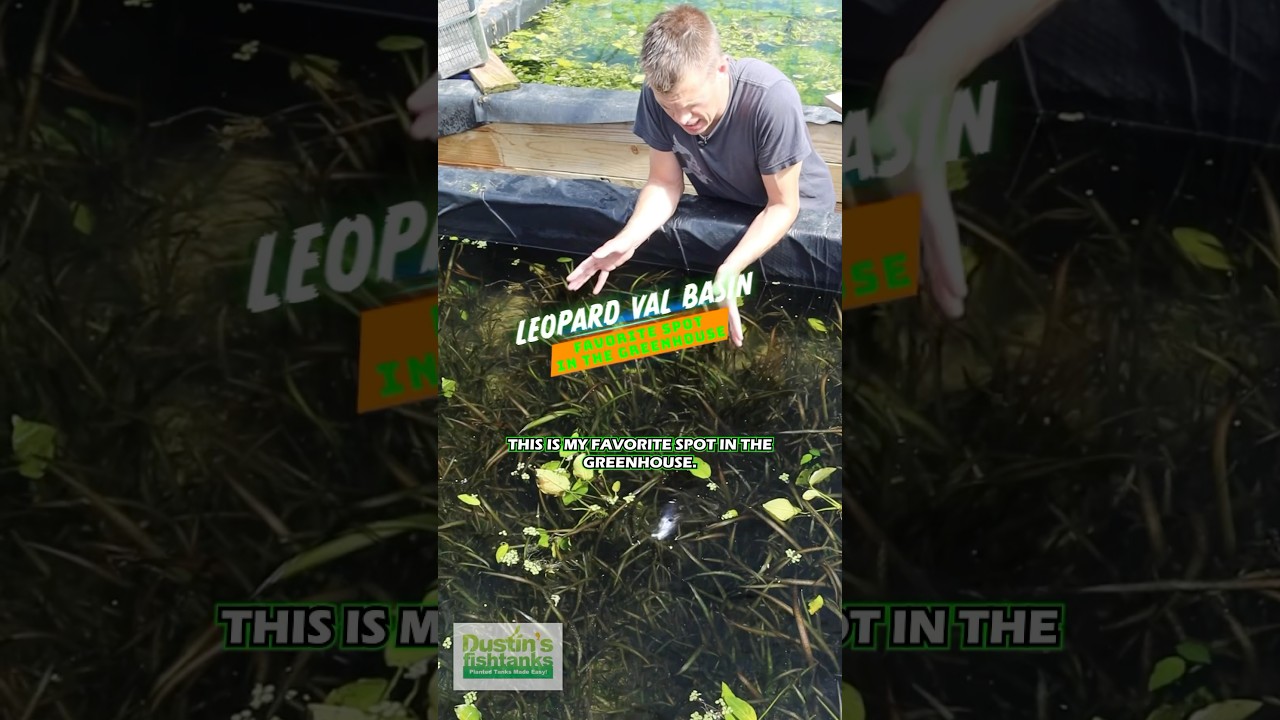 Favorite Spot In The Greenhouse