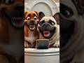 Funny Dogs Watching Mobile In Toilet      #shortvideo