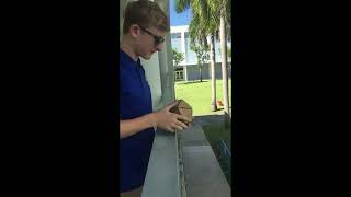 The Egg Drop Structure/Wind Test