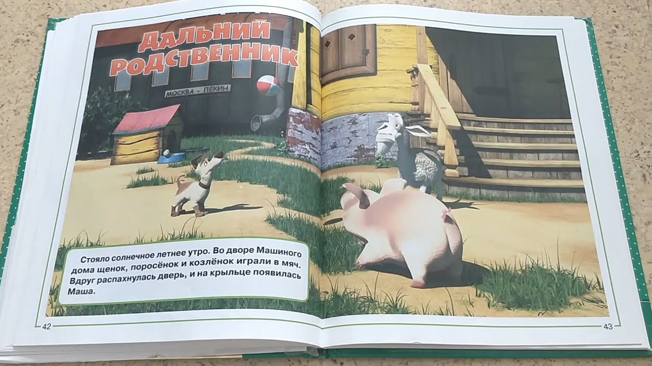 Чтение книги 