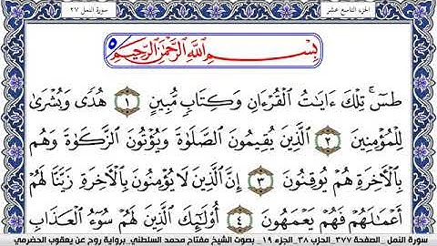 سورة النمل مكتوبة مفتاح السلطني برواية روح عن يعقوب الحضرمي