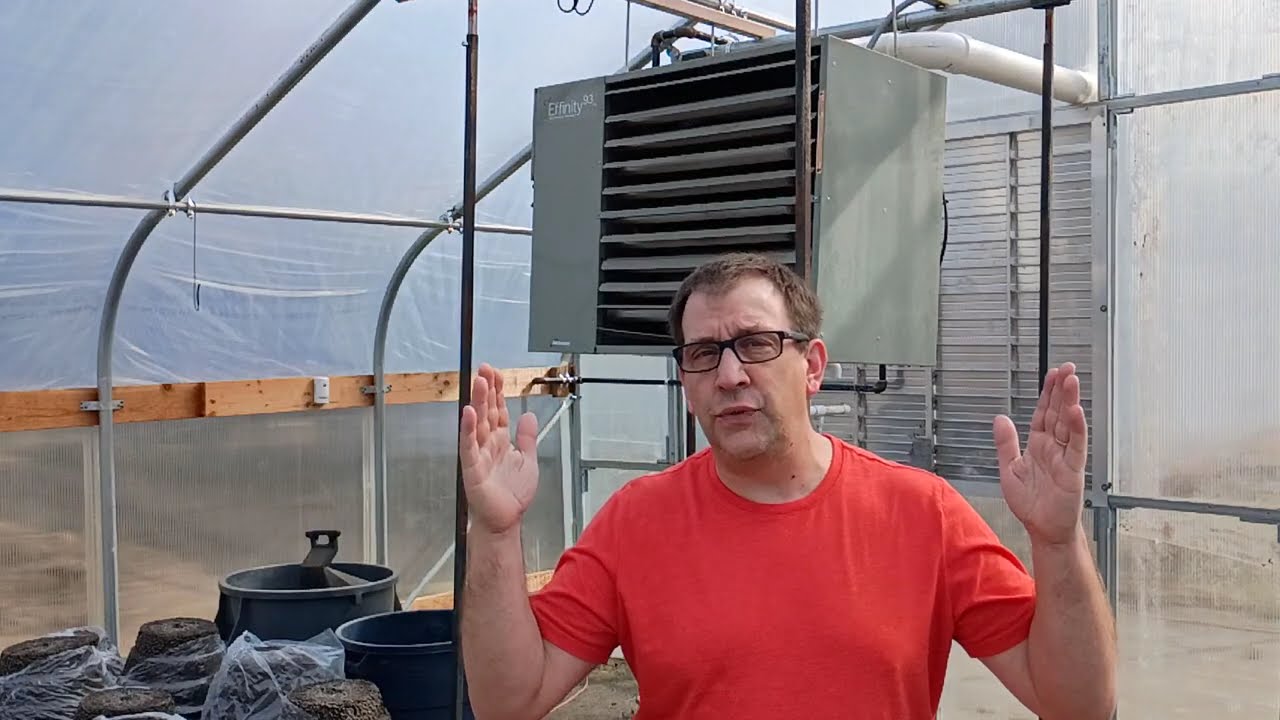 Can you Rely on Solar Gain or Passive Heat in a Commercial Greenhouse