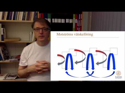 Video: Bero viskositeten på trycket?