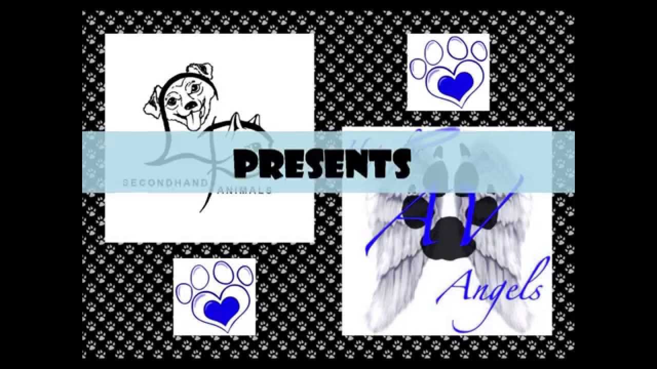 The Story of Us YouTube