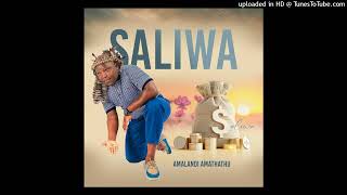 Saliwa  Izinqoko Namabhodlela