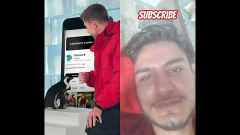 #penguin #automobile #challenge #duet #mrbeast #subscribe #new #subscribers #mrbeastshorts