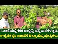 1  400          cinnamon farming in kannada