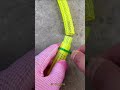 The Easiest Way to Join Two Water Hoses Together