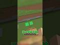 本物はどっち? #マイクラ