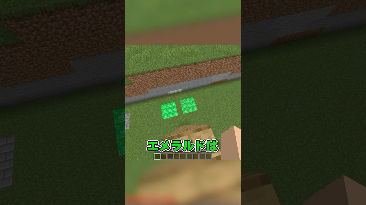 本物はどっち? #マイクラ